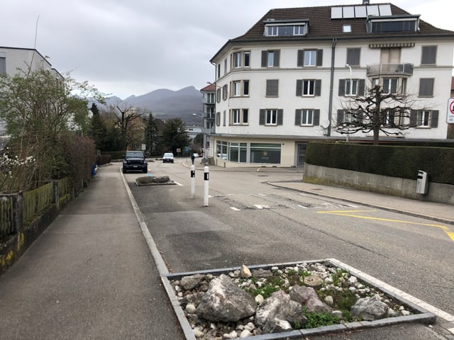 Grürabatte in einer Quartierstrasse in Olten 