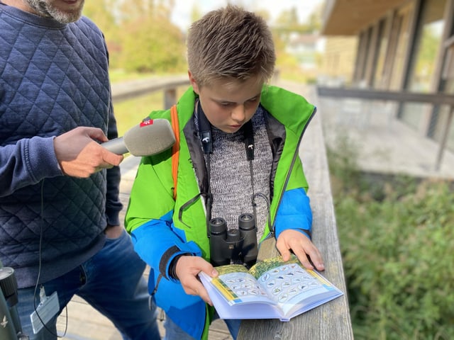 Lorin sucht im Vogelbestimmungsbuch nach einem Vogel