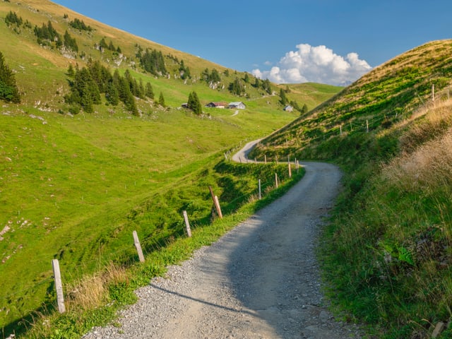 Wanderweg in einer grünen Berglandschaft bei Sonnenschein.