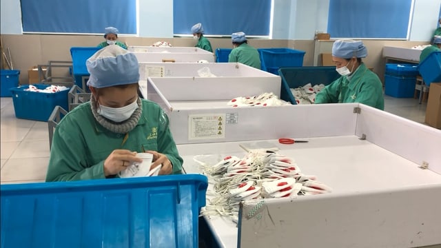 Personen in grüner Kleidung und mit Gesichtsmasken bei der Arbeit.