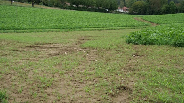 Aufgeweichtes Feld