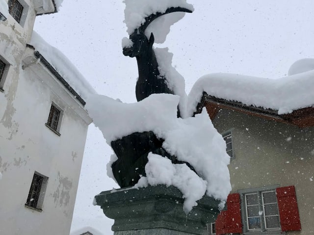 Snowy in statue.