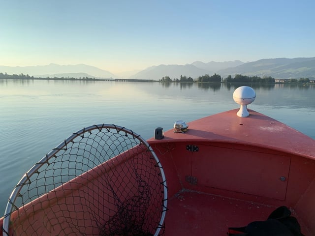 Schöne Morgenstimmung auf dem See.