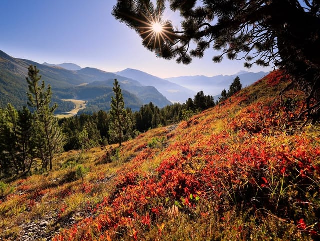 Sonniges September-Bergwetter mit warmen Temperaturen und ersten leuchtenden Herbstfarben.