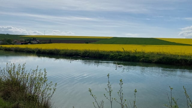 Fluss mit Feldern und Hügeln im Hintergrund.