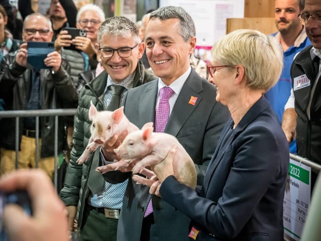 Bundespräsident Iganzio Cassis hält an der Olma ein Säuli.