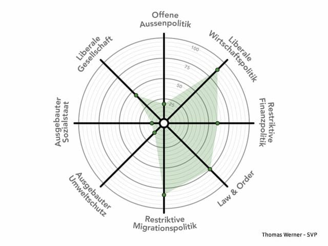 Auf dem Smartspider ist die politische Ausrichtung von Thomas Werner zu sehen.