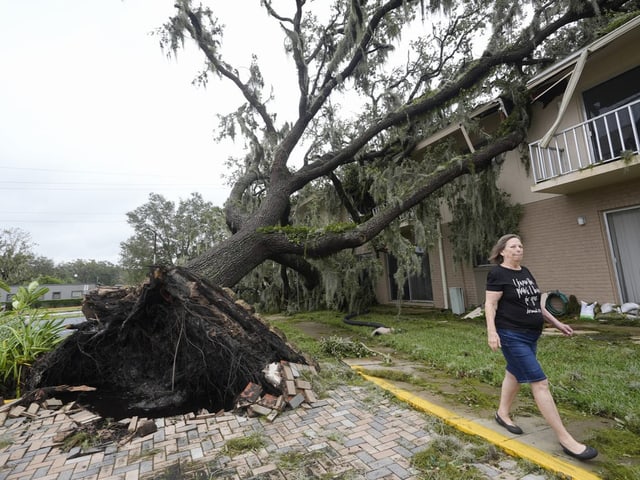 Frau geht an umgestürztem Baum und beschädigtem Haus vorbei.