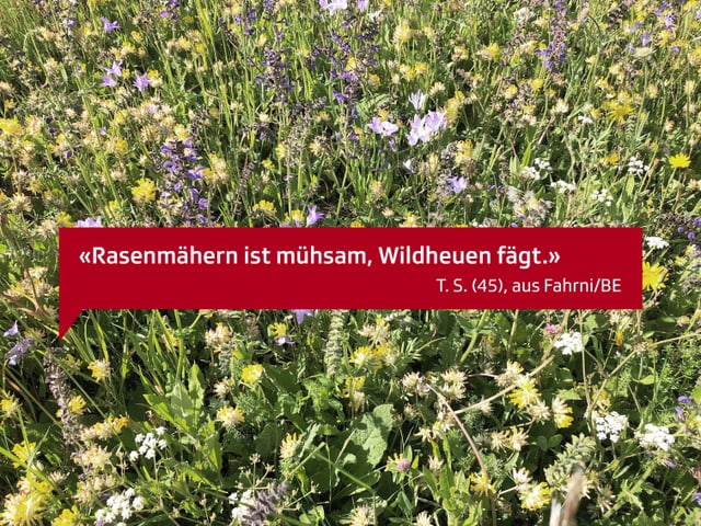 Rasenmähen ist mühsam, Wildheuen fägt. T.S. 45, aus Fahrni/BE