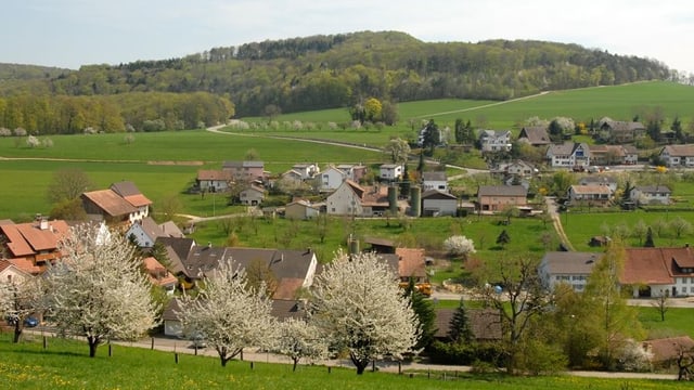 Blick auf Hersberg