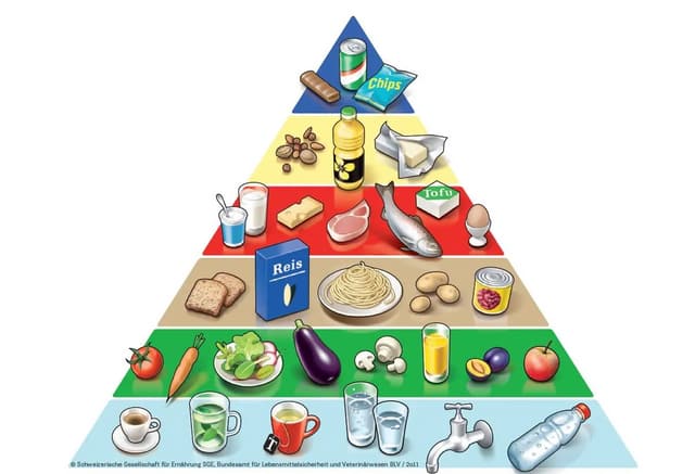 Lebensmittelpyramide alt