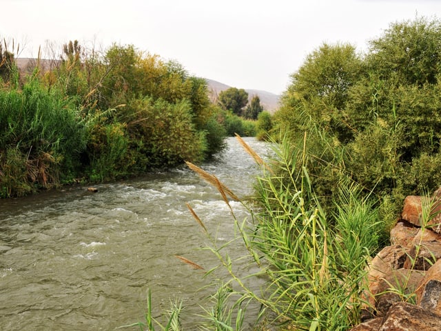 Fluss in grüner Landschaft