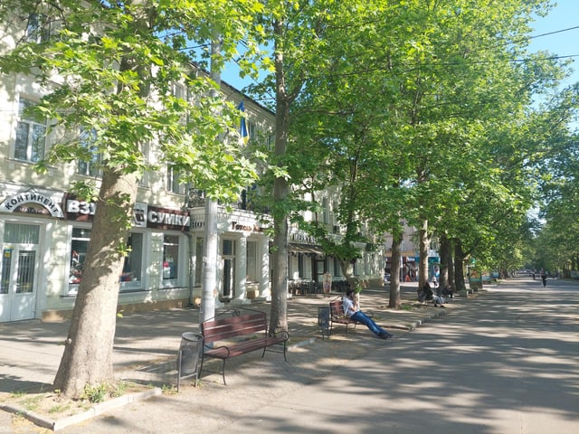 Strasse mit Bäumen und Gebäuden an einem sonnigen Tag.