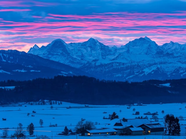 Eingeschneite Landschaft mit Blick auf Eiger, Mönch und Jungfrau. Dazu Rosaroter Himmel mit Wolken.