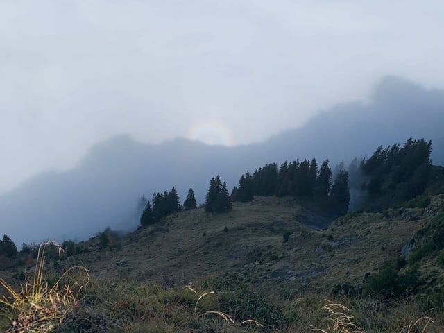 Glorie auf der Schynige Platte/BE