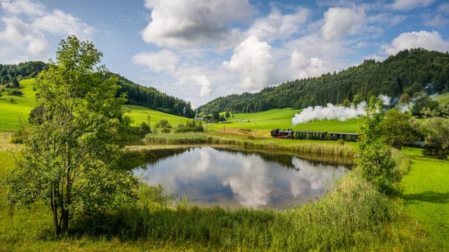 Panoramafahrt mit der Dampfbahn durchs Zürioberland