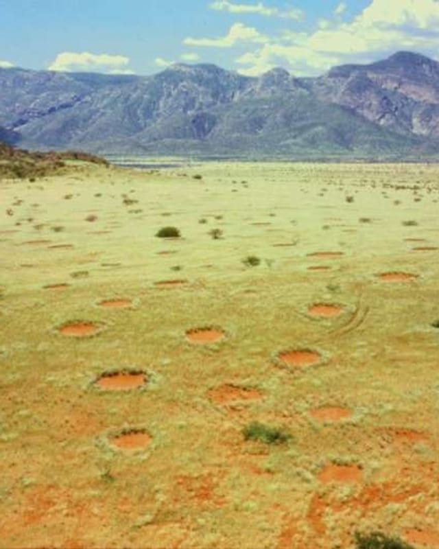 Feenkreise in Namibia