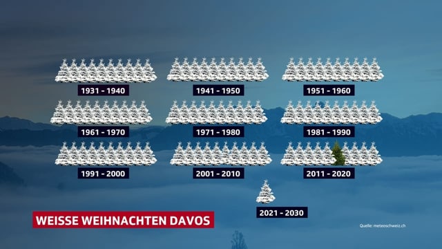 Weisse und grüne Tannen, die für weisse oder grüne Weihnachten stehen.