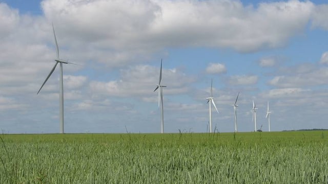 Windräder auf einem weiten Feld