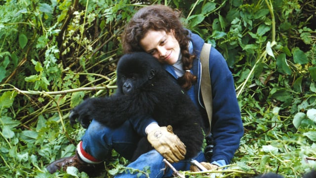 Frau mit jungem Gorilla auf dem Schoss sitzt im Dschungel am Boden. 