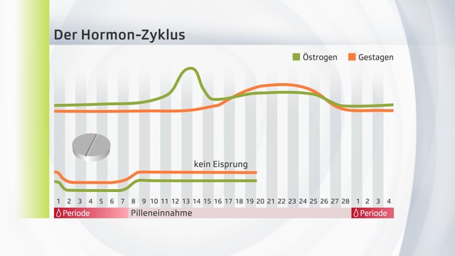 Grafik