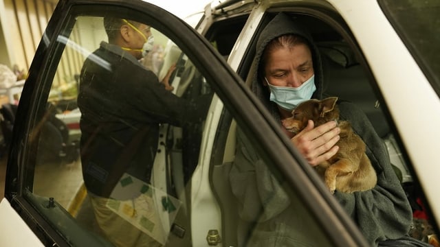 Couple with dog in the car. 