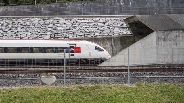 Ein Zug fährt aus einem Tunnel. 