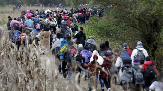 Ein Strom von Menschen geht zu Fuss durch offenes Gelände