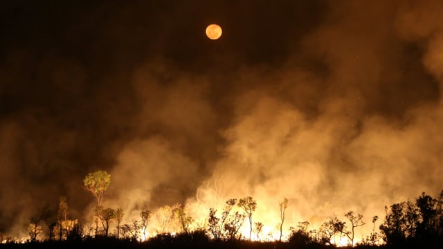 Brendender Amazonas bei Nacht.