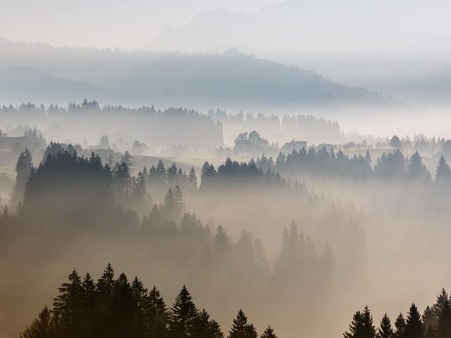 Dunst über waldigen Hügeln