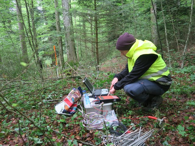 Eine Person hockt im Wald und führt Messungen durch.