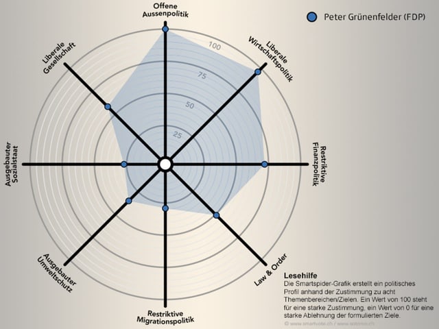 Spidergrafik von Peter Grünenfelder