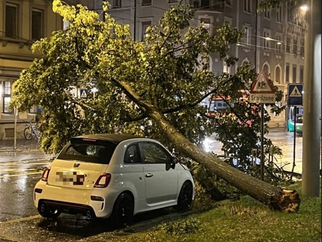 Ein umgestürzter Baum in Basel.