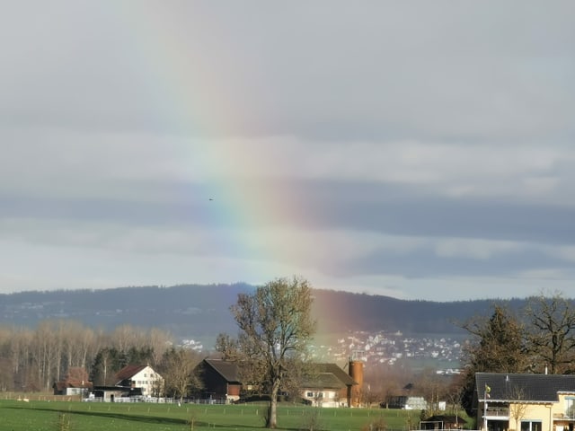 A rainbow.