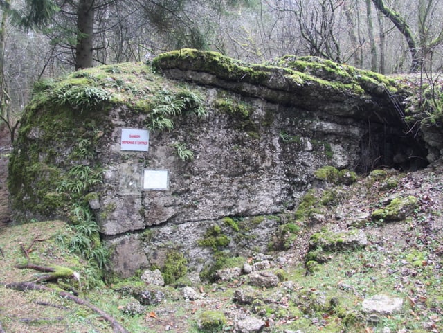 Grosser bewachsener Fels in einem Wald