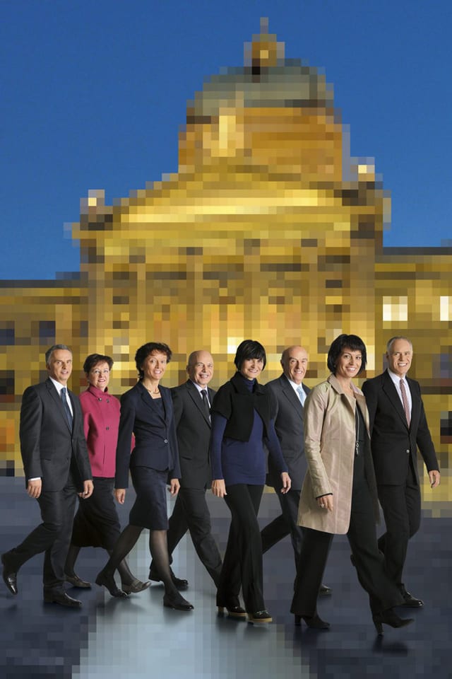 Bundesrat 2010