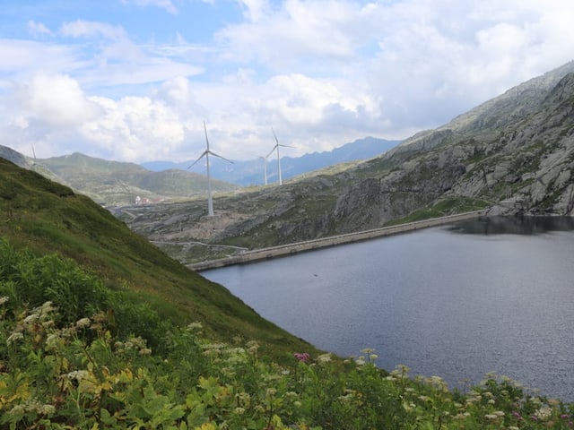 Stausee mit Windrädern im Hintergrund.