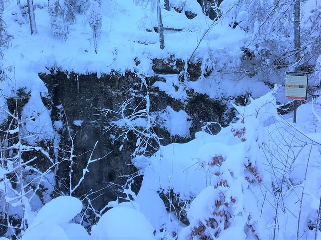 Verschneites Waldstück mit einer Öffnung. 