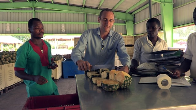 Maik Blaser schneidet Ananas, neben ihm zwei Angestellte