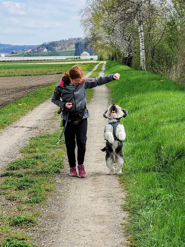 Ein Mädchen steht neben ihrem Hund, der auf seinen Hinterbeinen steht. 