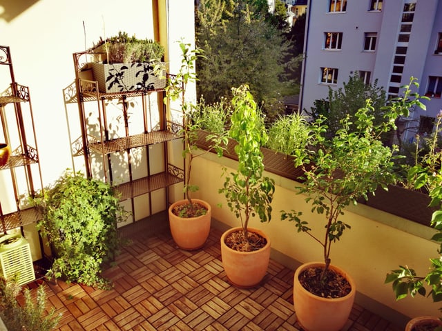 Begrünter Balkon