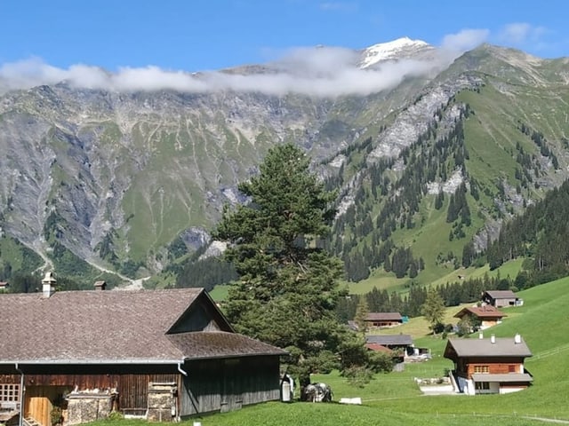 Berge im Hintergrund. Im Vordergrund Bauernhof  in Adelboden