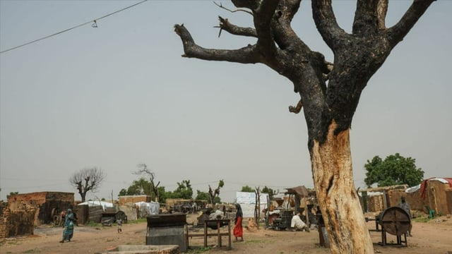 Ein verkohlter Baum auf einem leeren Marktplatz.