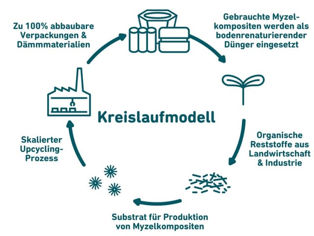 Kreislaufmodell aufgezeichnet, mit Bildern.