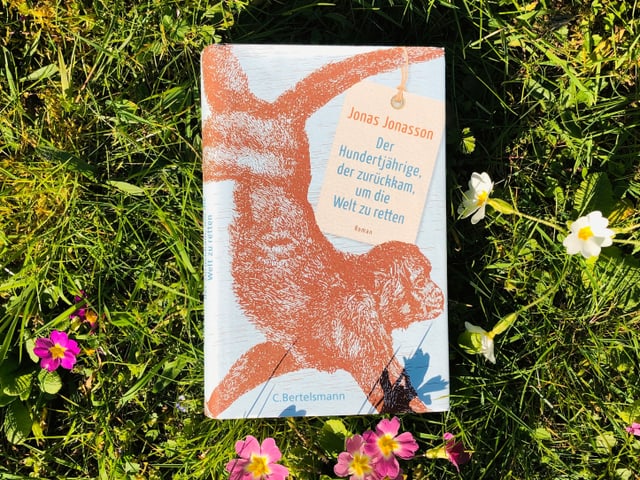 Jonas Jonassons Roman «Der Hundertjährige, der aus dem Fenster stieg und verschwand» liegt auf Gras