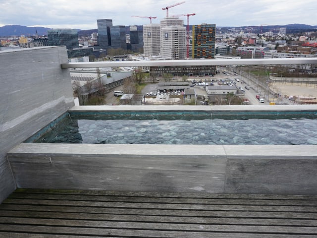 Der Brunnen des Meteo-Dachs.