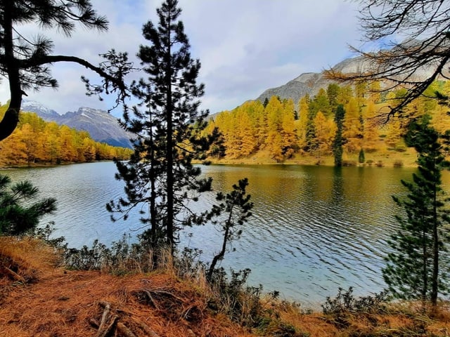 Bergsee mit Herbstbäumen und Bergen im Hintergrund.