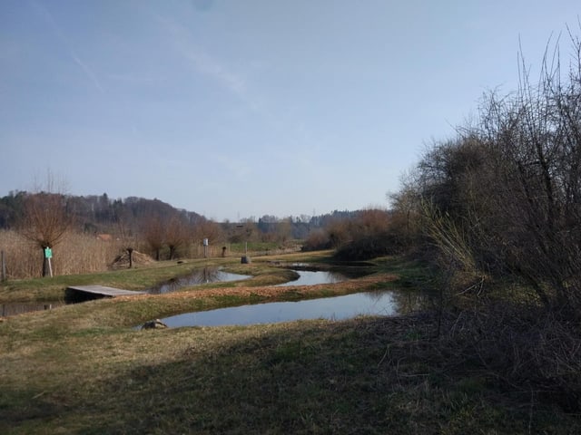 Blick auf Gewässer.