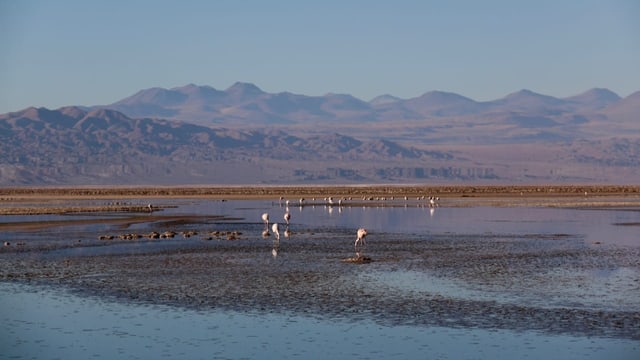 Der Salar de Atacama in Chile.