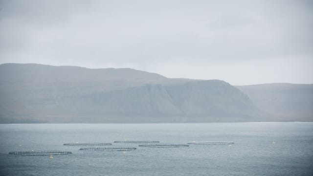 Auf dem Bild ist das Meer zu sehen.